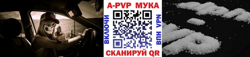 купить   omg ТОР  Alpha-PVP VHQ  Сясьстрой 
