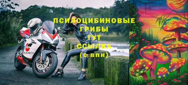 тгк Алзамай
