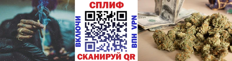 что такое   Сясьстрой  Бошки Шишки планчик 